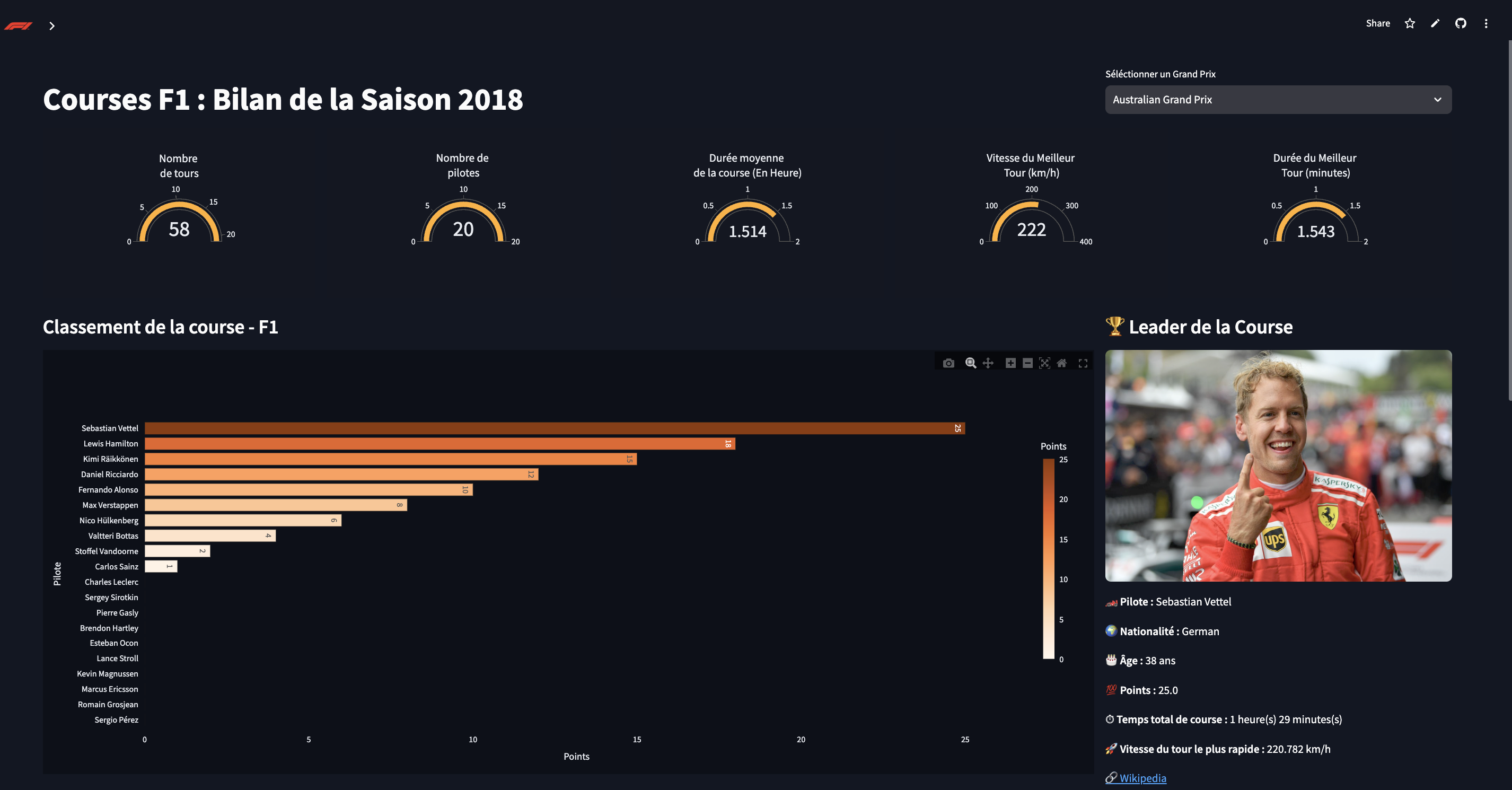 Project Screenshot 1