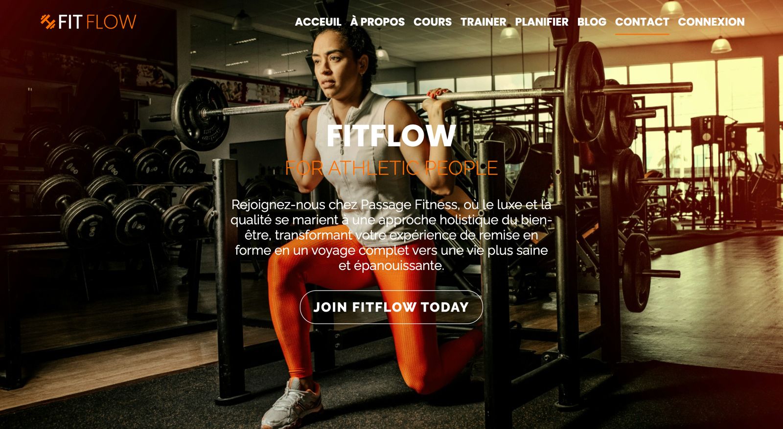 Project Screenshot 1